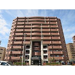 信開ダイナスティ黒瀬 1007