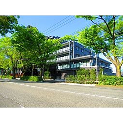 プレミア富山けやき通り 508