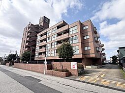 信開ドムス野村