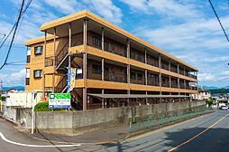 オステンハイム 303