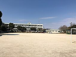船橋市西習志野3丁目　土地