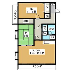 エバーグリーン