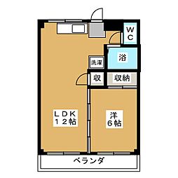 ドリームズ・カム・トゥルー