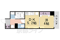 アメイジング桂 503