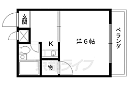 アクティオカ 305