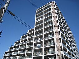 日野市栄町1丁目