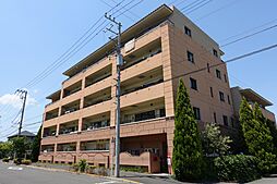 日野市新町1丁目