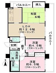 ライフプラザ横浜瀬谷 409