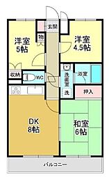 クレアールスギモト 302
