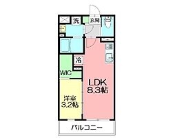 Dracaena　湘南台 401