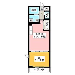 フリシュアイリス