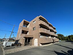 ブレインマンション壱番館 103