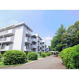 ルネ吉祥寺北町2号棟 405