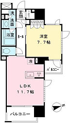 メゾンカルム代々木公園 308