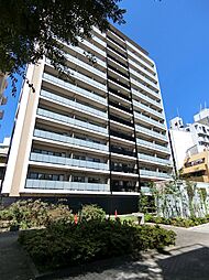 MODIER　HATAGAYA 1205