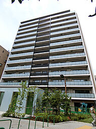 MODIER　HATAGAYA 605
