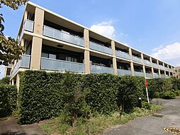 エストライフつつじヶ丘五番館 209