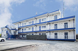 ベアーマンション 202