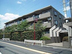 アーバンハイム成城PART V 303