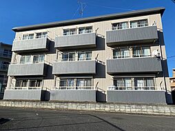 ハイムニューセラ 301