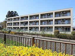 ROXY　TAKAHATA　2411 307