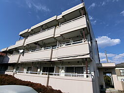 パラティーノ打越 206