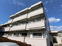 パラティーノ打越 107