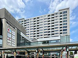 プラウド府中ステーションアリーナ 1215