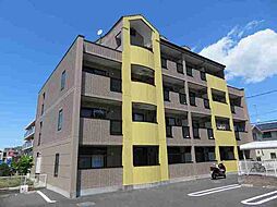 ソレアードボニート 305