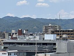 ネバーランド室町通 902