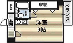 ザ・ボックス新西