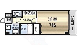 サンシャイン白菊