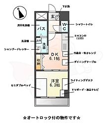 M-stage　Aoi