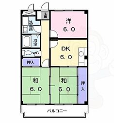 シャトレ純
