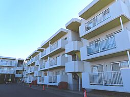 吉田ハイツ武蔵野 107