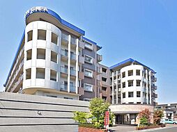 糟屋郡志免町別府北１丁目