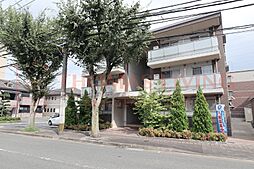 レスピーザ曙 102