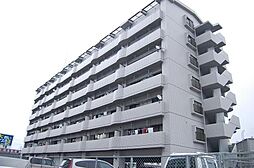 フローラルTS 202