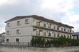 マイアネックス 205