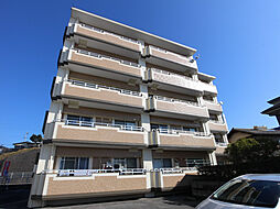 サンコートDOI 103