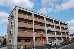 マルワシャルマンIII 404