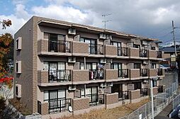 アヴァンギャルド21