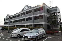 パールシャイン