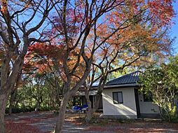 いわき市平字桜町中古戸建