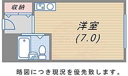 カサ水木