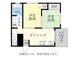 カサパロマ水木 405