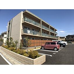 Zelkova Misono（ゼルコバ　ミソノ） 304