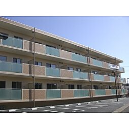 キャンディット 301