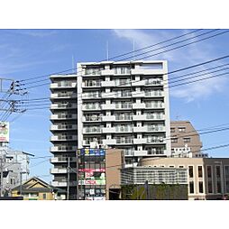 ブラン　コライユ 303