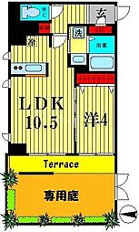 Cercidy Tower View St 101